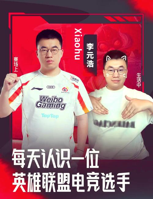 娱乐圈喜欢打游戏的明星有哪些?