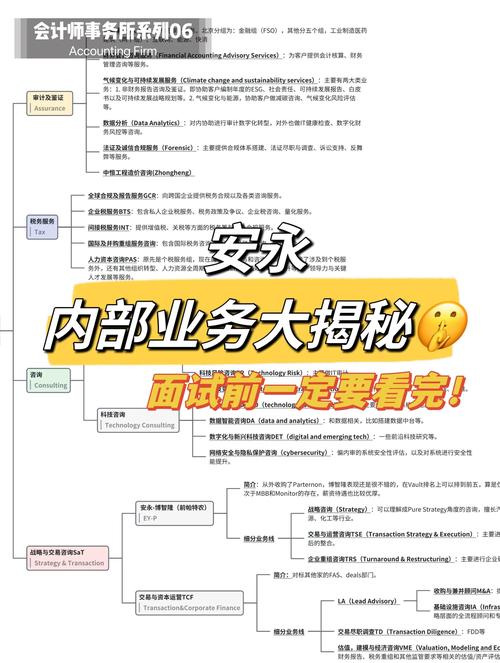 ...一张图带你了解四大(普华永道、毕马威、德勤、安永)OT笔试题型...