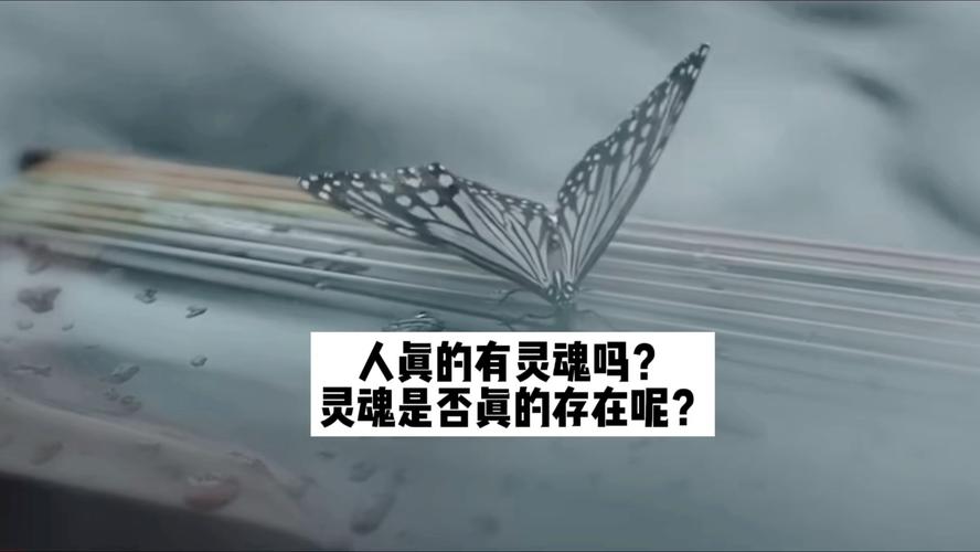 世界上有灵魂吗?