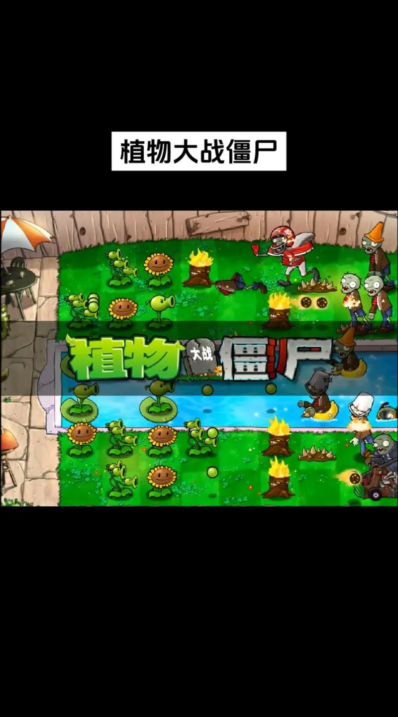 植物大战僵尸怎么样,植物大战僵尸游戏测评