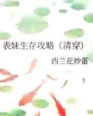 表表妹的游戏攻略,轻松上手的游戏指南