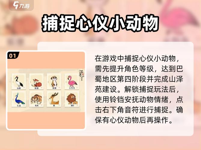 淡墨水云乡怎么捕抓动物