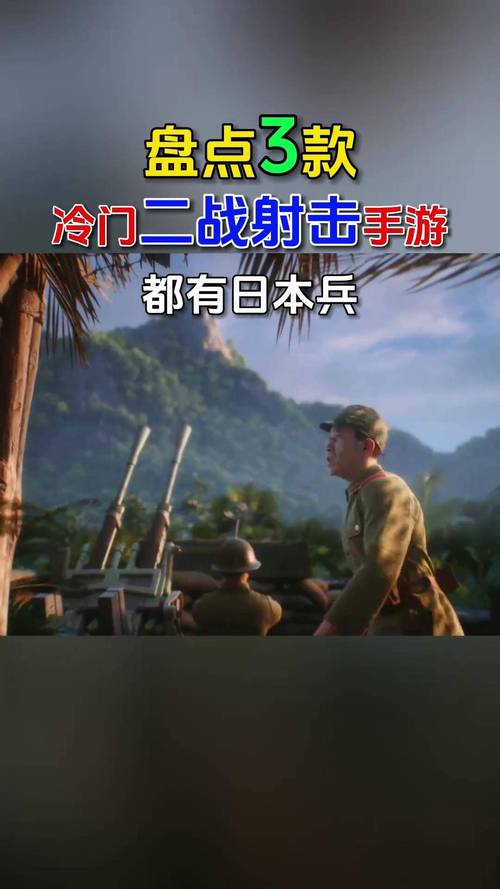 求一个单机版的杀小日本鬼子的游戏!要第一人称的!