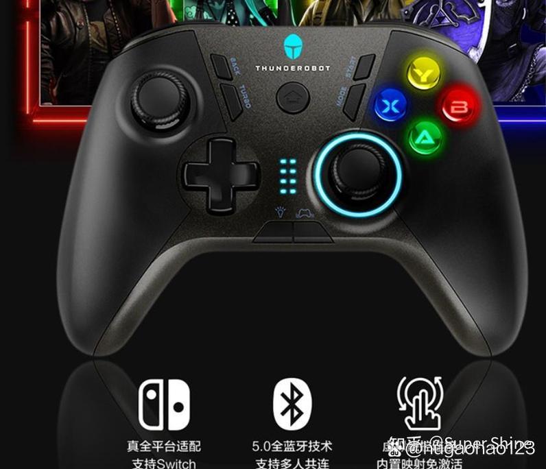 pc端有哪些适合用手柄玩的游戏?